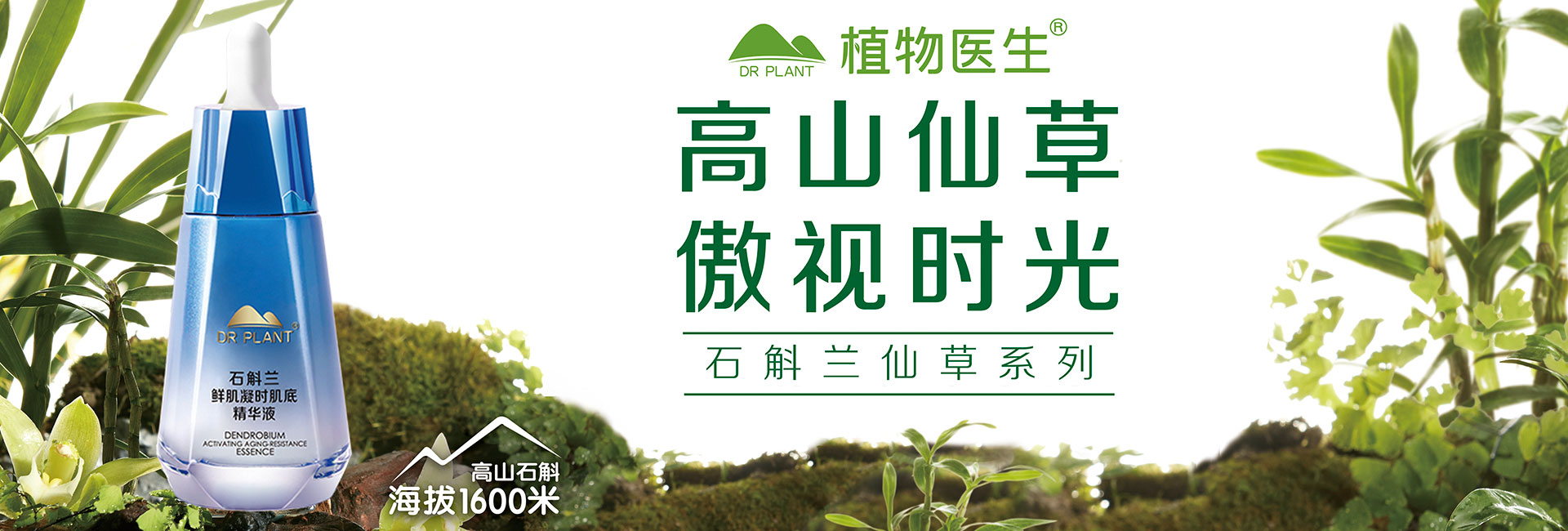 登录后台看看