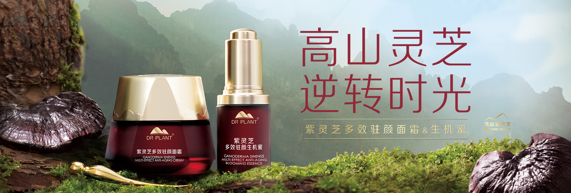 后台可以alt描述