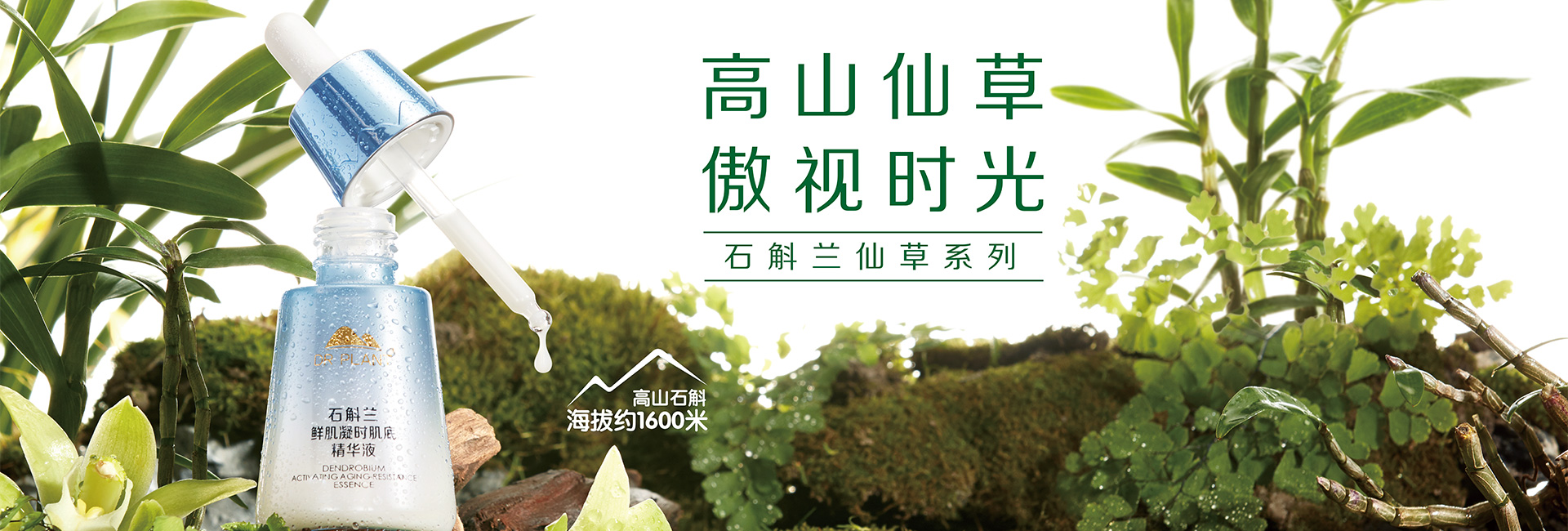 登录后台看看