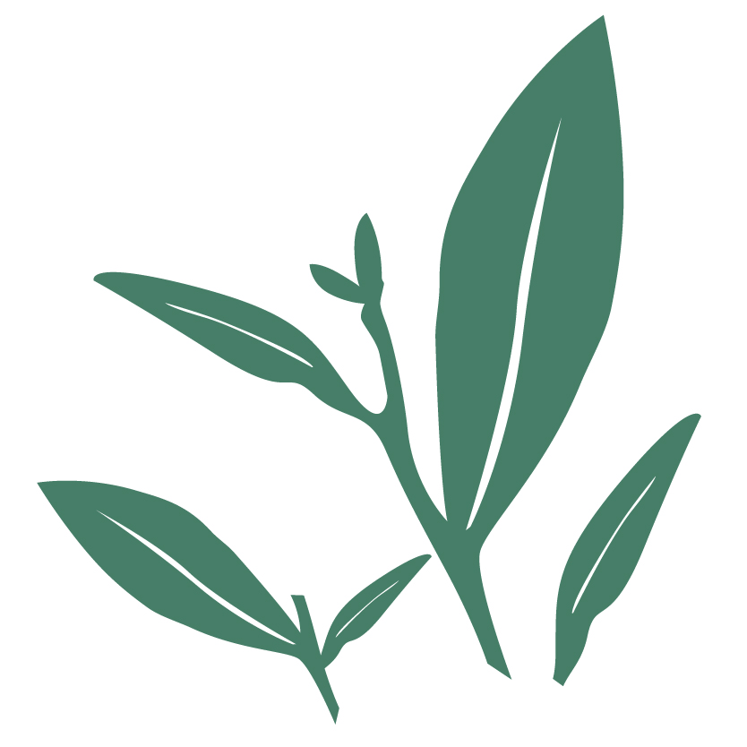 高山綠茶祛痘修護系列
